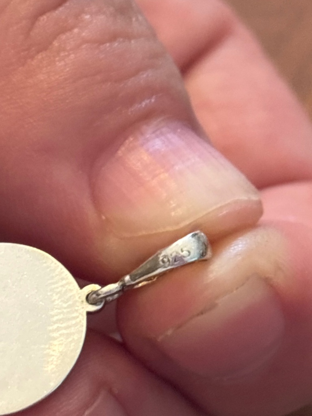 Silver Charm - Picture 3 of 3
